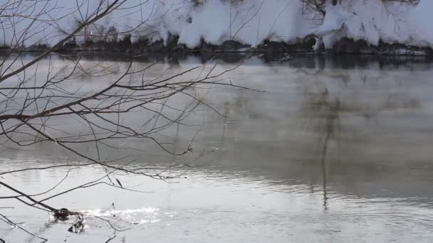 Paesaggio invernale con fiume e alberi — Video Stock