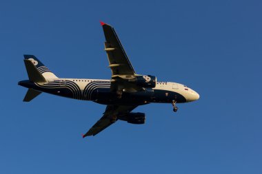Novosibirsk - Haziran 07: Airbus A319 Aurora Havayolları Novosibirsk Tolmachevo Havaalanı'nda. 51-Aeroflot tarafından sahip olduğu yeni havayoludur. 07 Haziran 2015 Novosibirsk Rusya'da