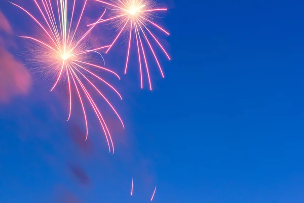 Güzel renkli tatil fireworks akşam gökyüzünde — Stok fotoğraf