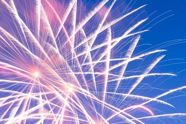 Güzel renkli tatil fireworks akşam gökyüzünde — Stok fotoğraf