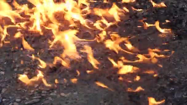 Apokalypse, die Erde in Flammen — Stockvideo