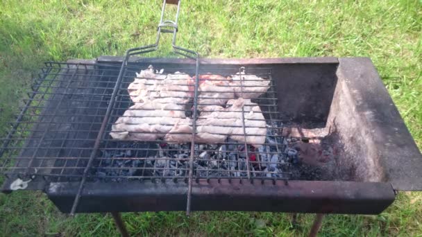 Barbecue à griller — Video