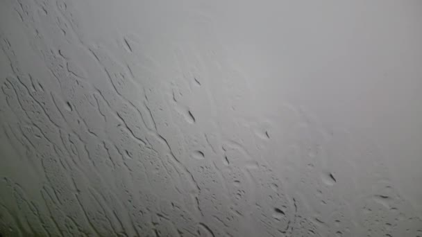 Rain drops sliding down the window glass — Stock Video