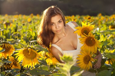 Ayçiçeği arasında güzel bir kadın