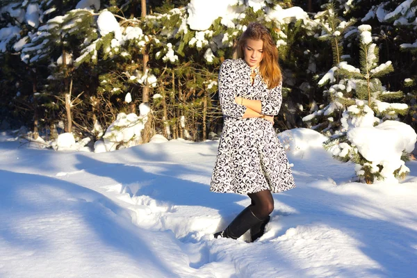 Bella giovane donna si congela nella pineta invernale — Foto Stock