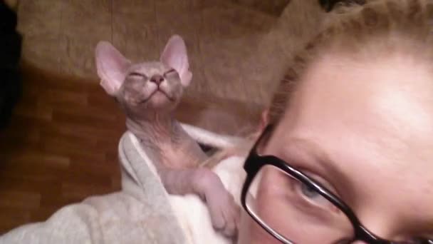 Sphynx gatinho dormindo no capô de uma jovem. Interior da casa. Pov. . — Vídeo de Stock