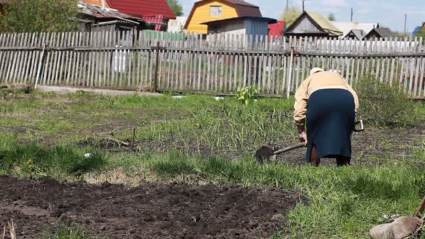 Садоводство для пожилых женщин. Летний день . — стоковое видео