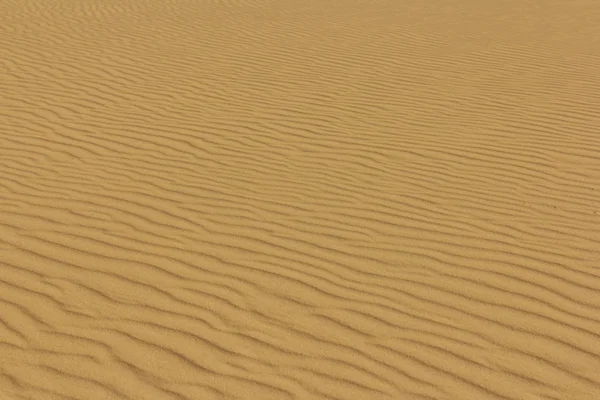 Tourism in the desert. White dunes. Vietnam — Stock Photo, Image