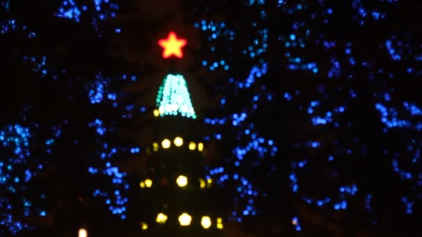 Абстрактный круговой боке фон рождественской елки света — стоковое видео