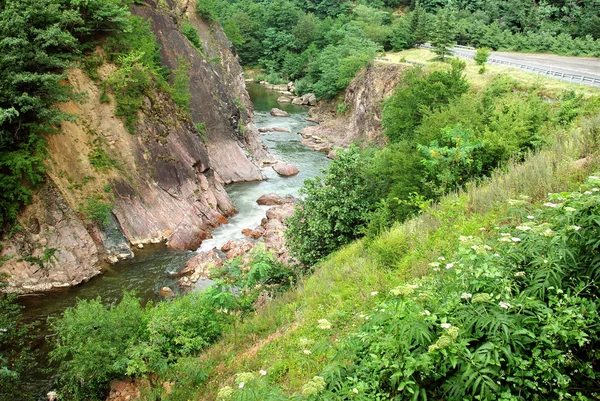 Hegyi folyó. Grúzia. Stock Kép