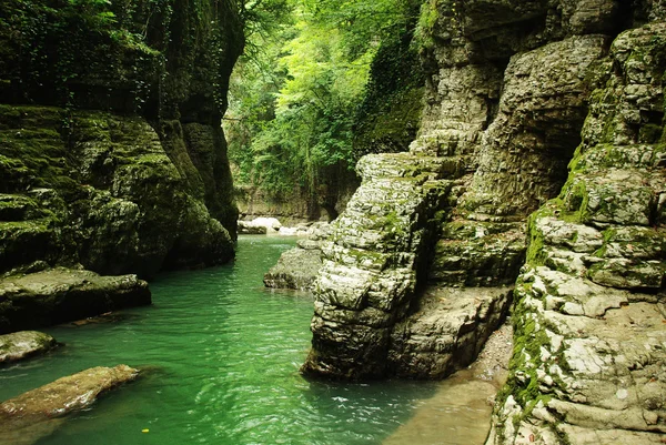 Il canyon Martvili. Georgia . Foto Stock Royalty Free