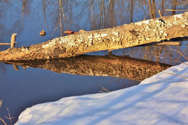 Winterse taferelen — Stockfoto