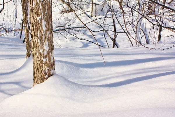 Cenas de inverno — Fotografia de Stock