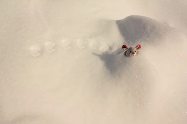 Topo di Natale — Foto Stock