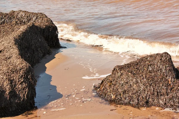 Junto ao mar — Fotografia de Stock