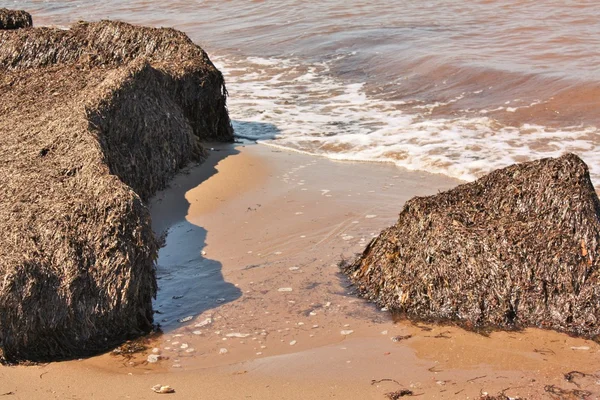 Junto ao mar — Fotografia de Stock