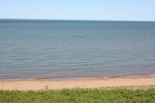 Am Meer — Stockfoto