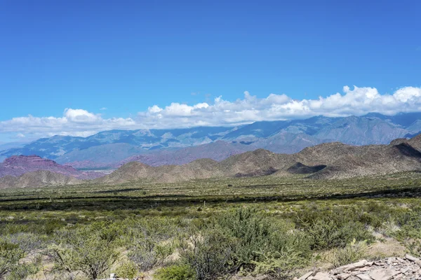 Berühmte route 40 in salta, argentinien. — Stockfoto