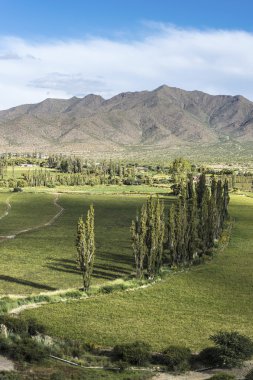 Cachi adentro Salta, Kuzey Arjantin