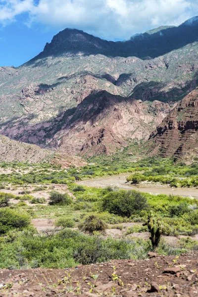 Quebrada de las conchas, salta, Severní argentina — Stock fotografie