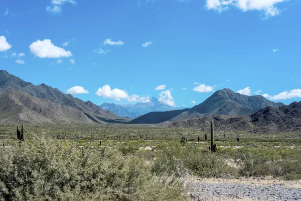 Berömda route 40 i Salta, Argentina. — Stockfoto