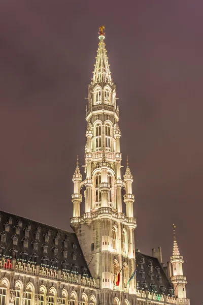 Rådhus i Bruxelles, Belgien . - Stock-foto