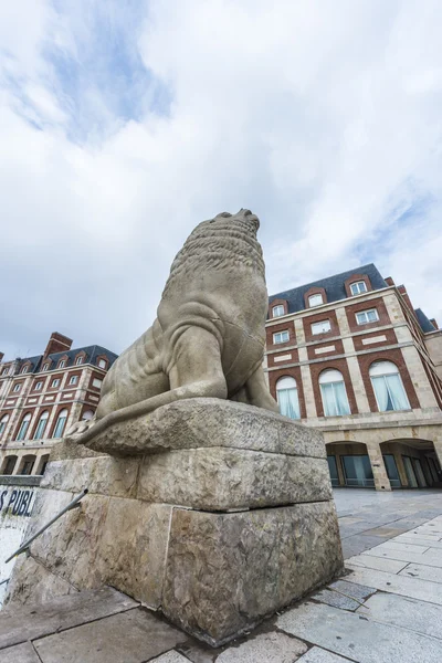 Lions de mer en Buenos Aires, l'Argentine — Photo