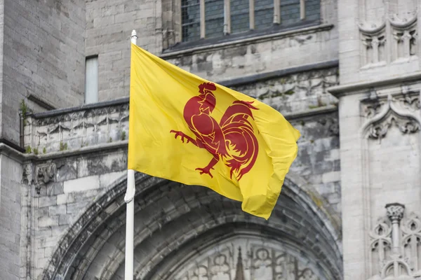 Flaga w Mons, Belgia — Zdjęcie stockowe