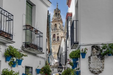 Calleja de las Flores Cordoba, Endülüs, İspanya.