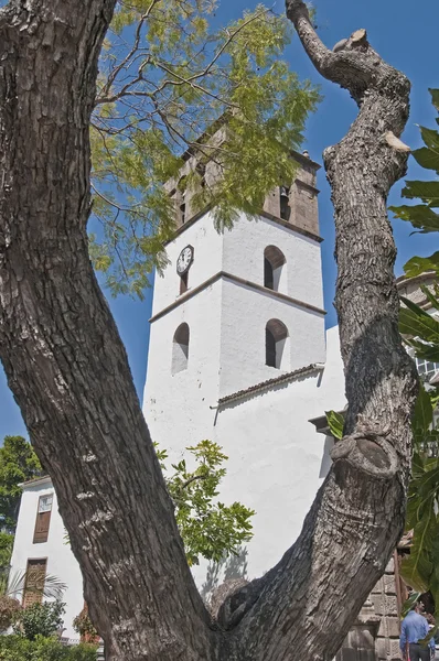 Icod de los Vinos parish — Stockfoto