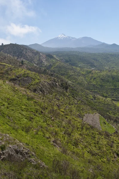 Teide Mount — Stock Photo, Image