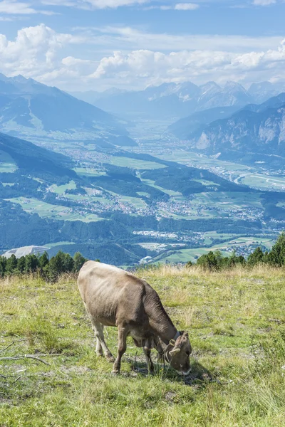 Patscherkofel picco vicino Innsbruck, Tirolo, Austria . — Foto Stock