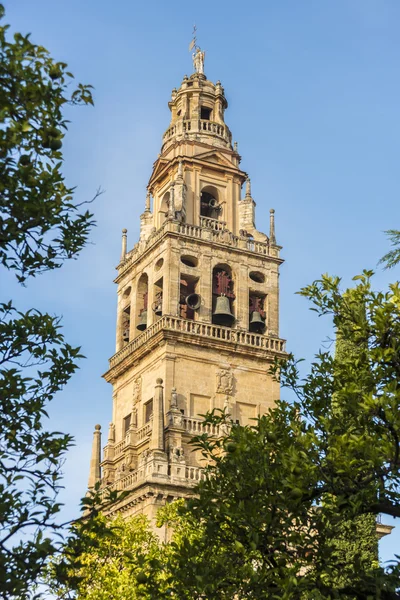 Catedral da Mesquita de Córdoba na Andaluzia, Espanha — Fotografia de Stock