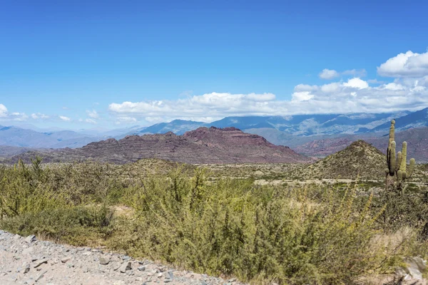 Famosa Ruta 40 en Salta, Argentina . —  Fotos de Stock