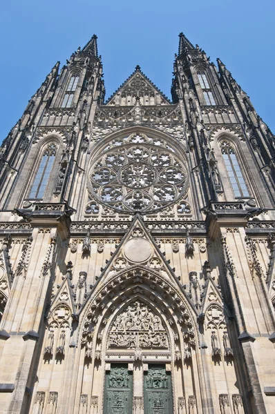 Kathedrale des Heiligen Vitus — Stockfoto