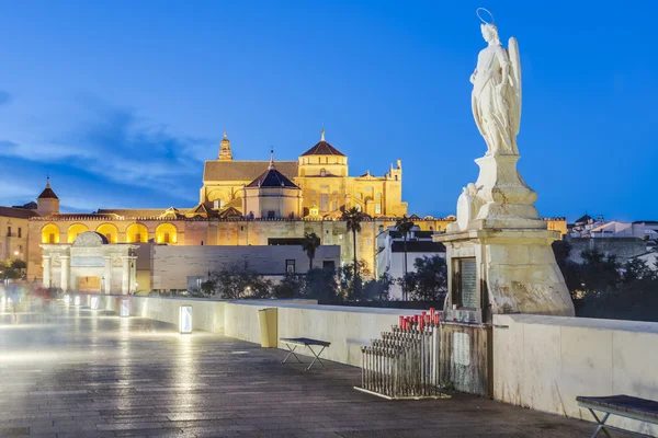 アンダルシア、スペイン、コルドバの大モスク — ストック写真
