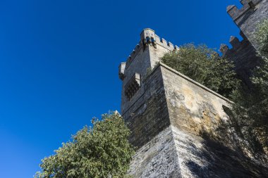 Almodovar del Rio Castle, Cordoba, Endülüs, İspanya.