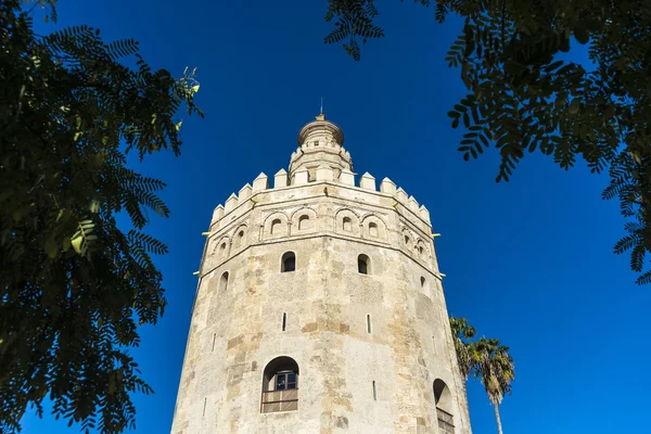 Torre de Ouro em Sevilha, sul da Espanha . — Fotografia de Stock