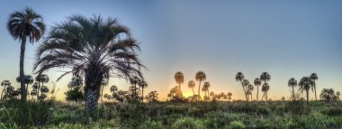 el palmar Milli Parkı, Arjantin Sunrise