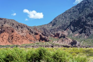 Quebrada de las conchas, salta, Kuzey Arjantin