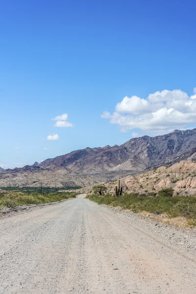 Famosa Ruta 40 en Salta, Argentina . — Foto de Stock