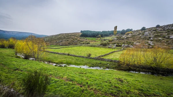 Sierra de Gredos, province of Avila, Castile Leon. — Stock Photo, Image