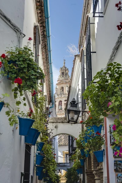 Calleja de las Flores w Kordoba, Andaluzja, Południowa Hiszpania. — Zdjęcie stockowe