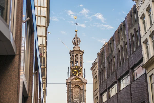 Munttoren tornet i Amsterdam, Nederländerna. — Stockfoto