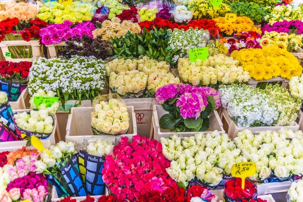 Nieuwe markt in Amsterdam, Nederland — Stockfoto