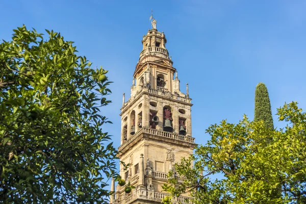 Moskee kathedraal van Cordoba, in Andalusië, Spanje — Stockfoto