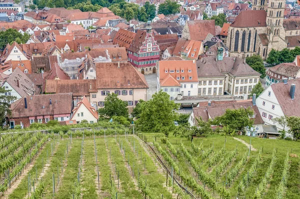 Oude stadhuis in esslingen am nechar, Duitsland — Stockfoto