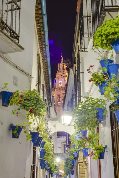 Calleja de las flores in cordoba, andalusien, spanien. — Stockfoto