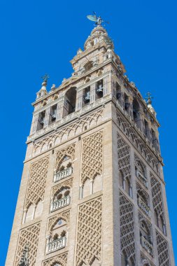 Giralda Seville, Endülüs, İspanya.