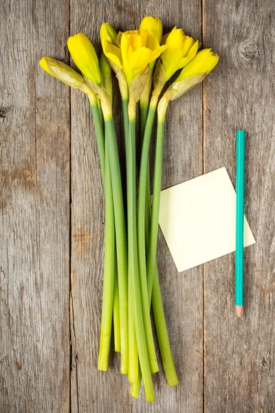 Nárcisz virág és üres Öntapadó jegyzet — Stock Fotó